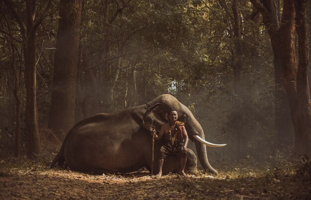 Thai farmer walking with the elephant in the jungle