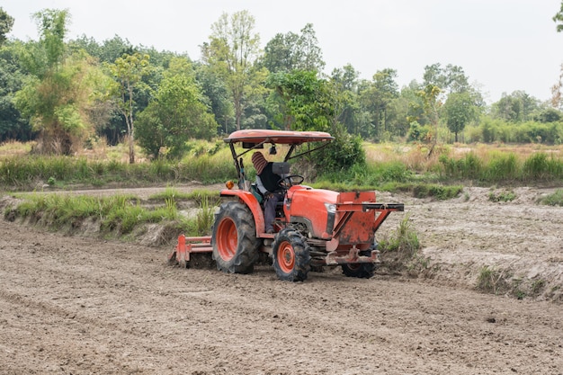 Thai farmers are using a tractor to prepare the soil for growing rice.