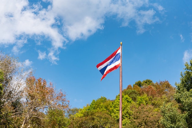 写真 タイの旗が風に吹かれて空と雲の周りの木