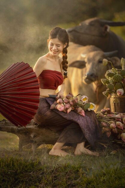 thai girl collecting lotus and her buffalo