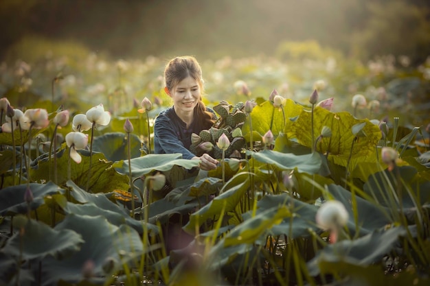 thai girl collecting lotus in the swamp