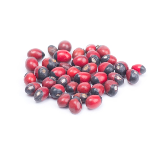 태국 허브 이름 Abrus precatorius L. 또는 Jequirity bean, American pea