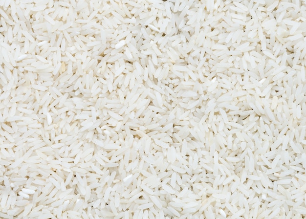 Photo thai jasmine rice