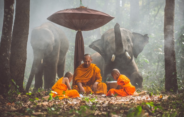 Photo thai monks studying in the jungle with elephants