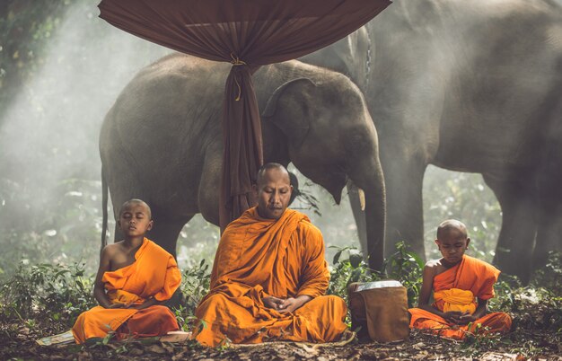 Monaci tailandesi che camminano nella giungla con gli elefanti