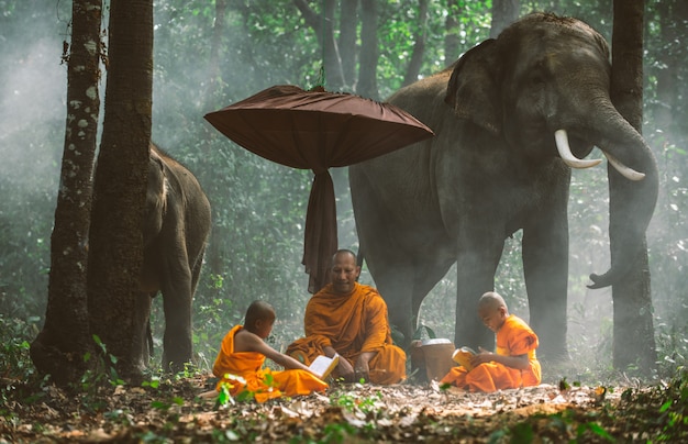 Thai monks walking in the jungle with elephants