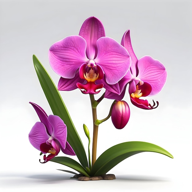 Thai Orchid Orchid flower Thai floral symbol Exotic Thai bloom Orchid garden Thai orchid specie