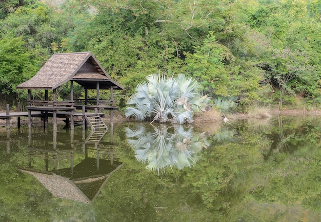 Тайский павильон в парке с отражением