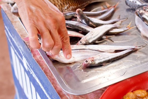 태국 사람들은 현지 시장에서 신선한 생선을 선택합니다
