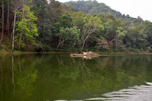 Thai rower waterman rowing bamboo rafts in Pang Ung lake for service travelers people travel visit Pang Oung or Switzerland of Thai at Ban Rak Thai on February 28 2020 in Mae Hong Son Thailand