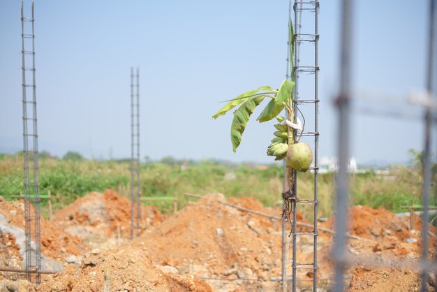 Thai traditional groundbreaking ceremony