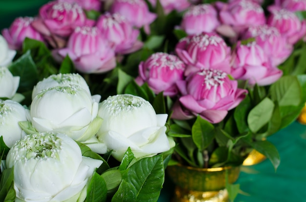 Thai traditional style folding white lotus bouquet 