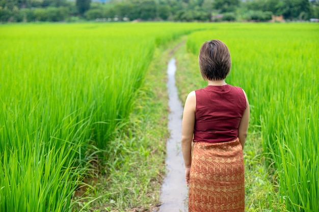 タイの女性が緑の田んぼに立つ