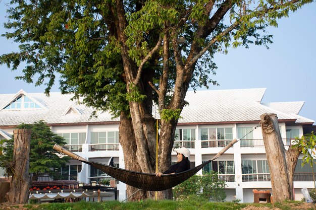 Thai women sit sleep and relax rest on hammock bamboo rattan at
park garden outdoor in morning time at resort hotel in mukdahan
thailand