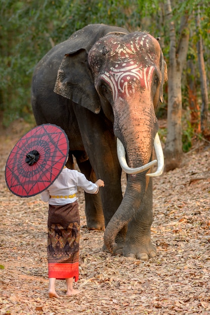 Donne tailandesi in costumi tradizionali nazionali in piedi e accarezzando il tronco di un elefante che ha bellissimi semi di sesamo