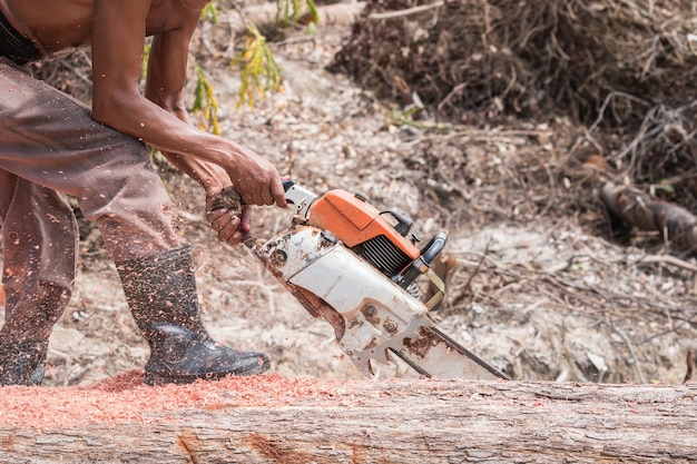 A Thai worker cutting trunk with chainsaw