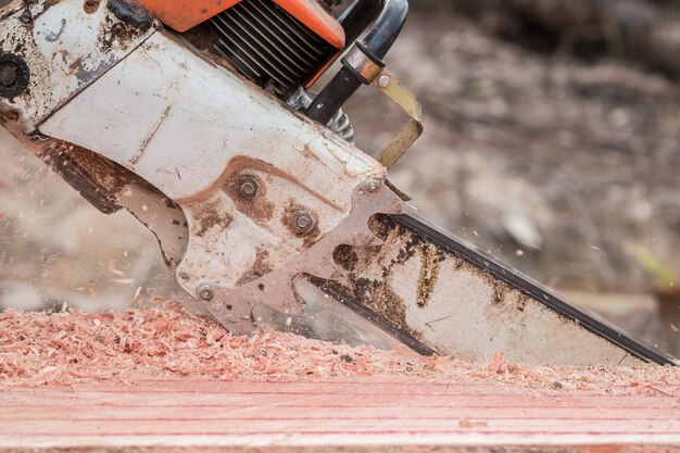 A Thai worker cutting trunk with chainsaw