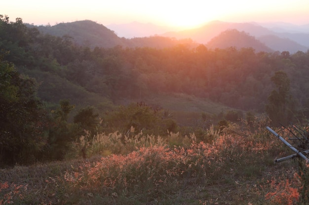 Thailand berg in zonsondergang met flare