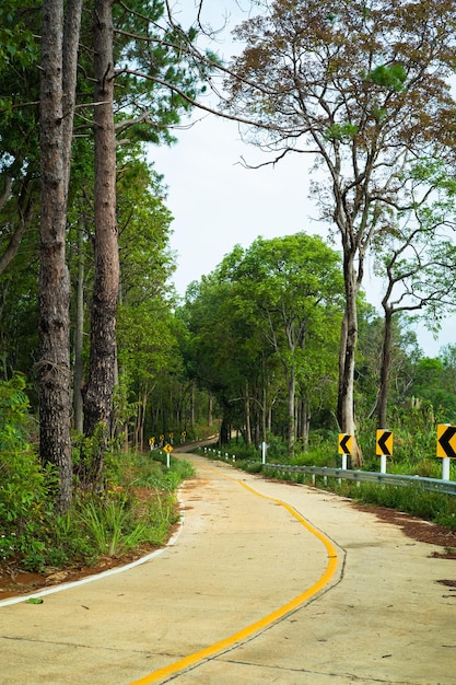 Thailand country road landscapeTraveler journey by roads