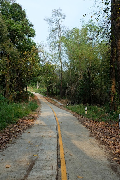 Paesaggio della strada di campagna della tailandiaviaggio del viaggiatore su stradelo scenario della strada di campagna