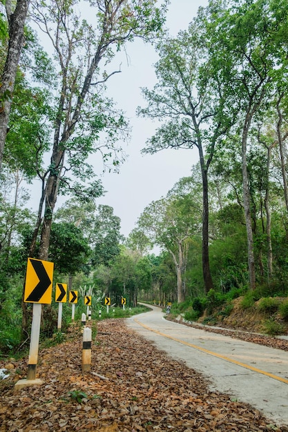 Thailand country road landscapeTraveler journey by roadsthe scenery of the country road