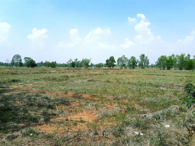 Campagna della thailandia