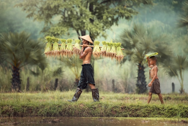 Thailand farmer worker