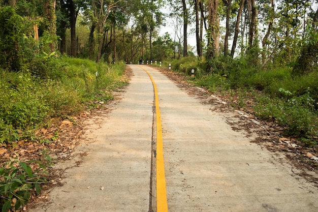 Thailand landweglandschapReiziger reis over wegenhet landschap van de landweg