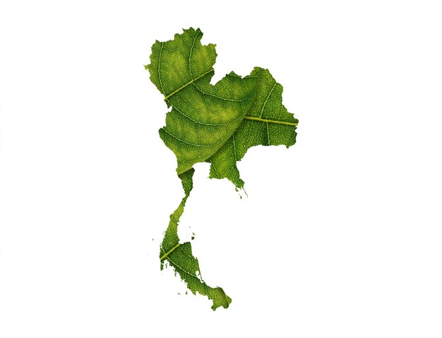 Foto mappa della thailandia fatta di foglie verdi su sfondo bianco concetto di ecologia