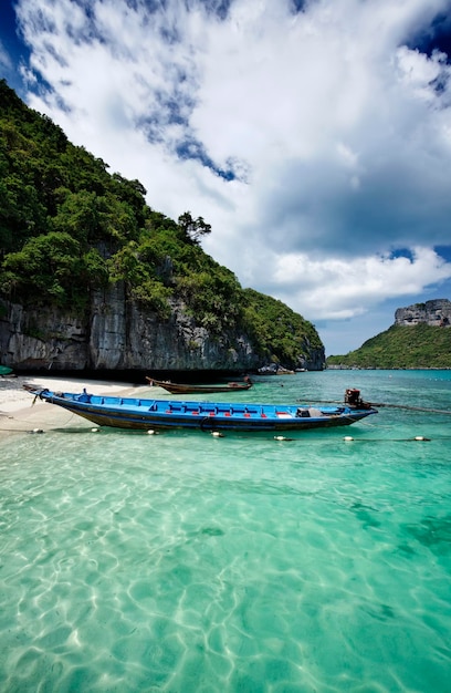 Thailand, MU KOH ANGTHONG National Marine Park, local fishing boats