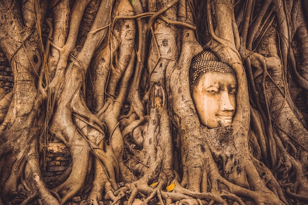 THAILAND Ruins and Antiques at the Ayutthaya Historical Park Tourists from around the world Buddha decay