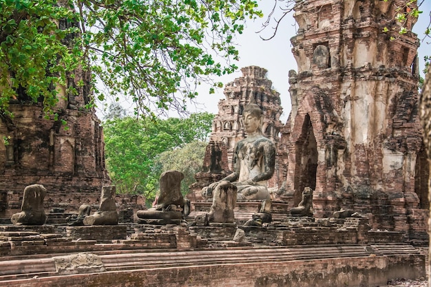 Thailandia rovine e oggetti d'antiquariato nel parco storico di ayutthaya turisti da tutto il mondo il decadimento del buddha