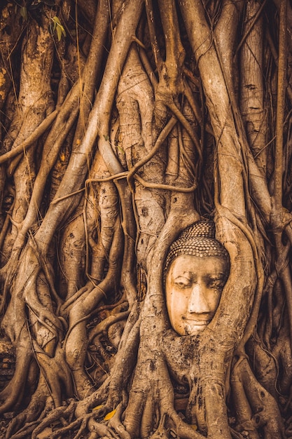 태국 아유타야 역사 공원의 유적과 골동품 전 세계에서 온 관광객 부처 쇠퇴