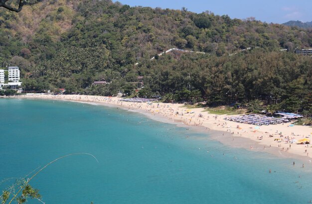 Thailand travel blue sea and palm trees view tropical paradise