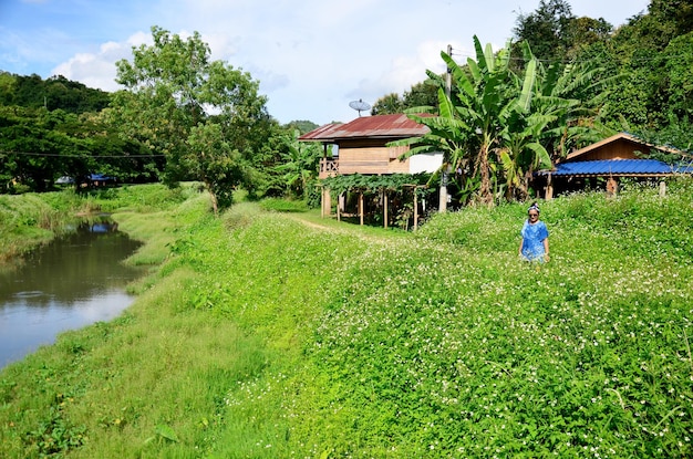 Thais vrouwenportret met het Spaanse veld van de naaldbloem bij Baan Natong-dorp in Phare Thailand