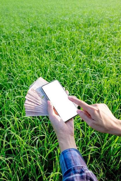 Thaise bankbiljetten en een smartphone met wit scherm in handen van een vrouwelijke boer op een groene boerderij