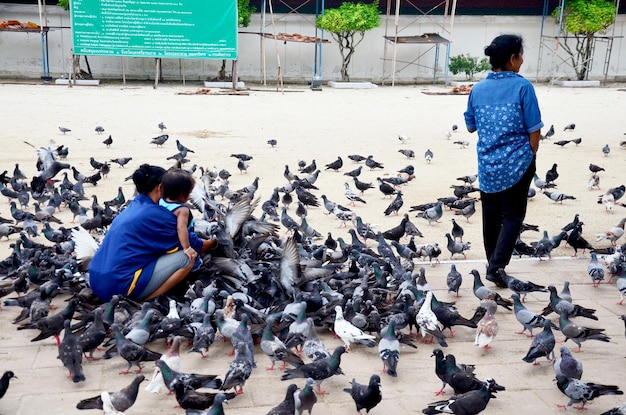 Thaise mensen voeren voedsel voor duivenvogels in Wat Phra Mahathat Woramahawihan op 18 september 2015 in Nakhon Si Thammarat, Thailand