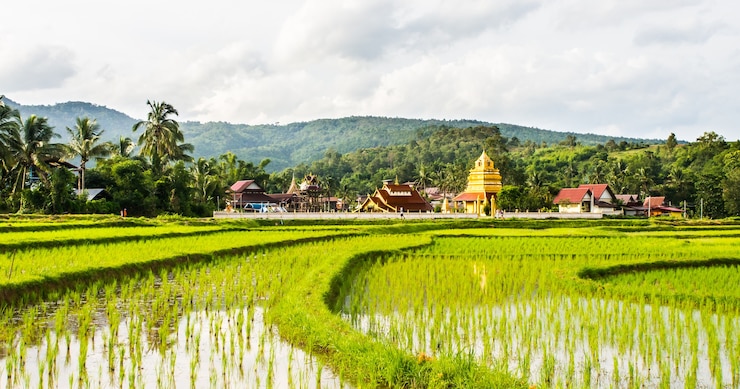 Foto thaise tempel en veld