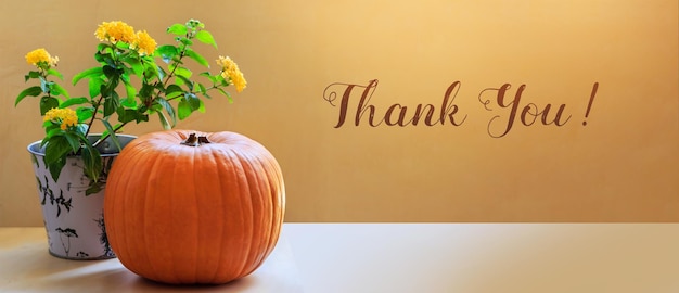 Thank you autumn banner, fall theme with pumpkin and flower against golden wall