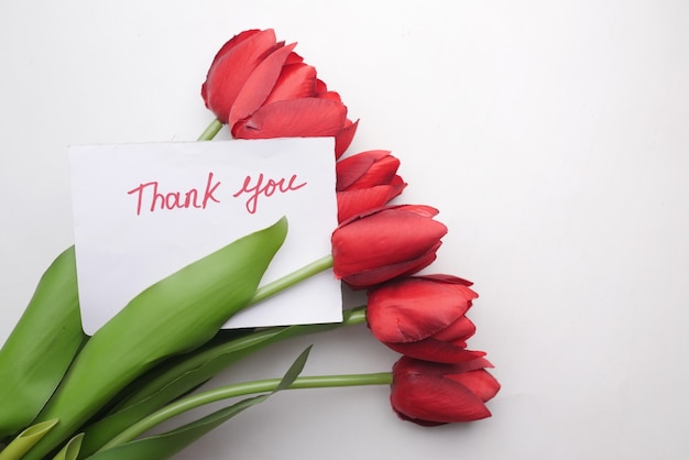 Благодарственное сообщение на бумаге с цветком тюльпана на белом фоне
