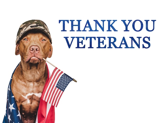 Foto grazie veterani brown cucciolo e bandiera americana