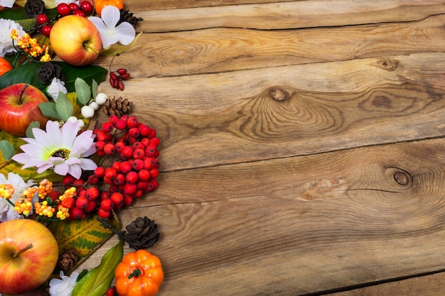 Thanksgiving achtergrond met rowan en witte margriet, kopieer ruimte
