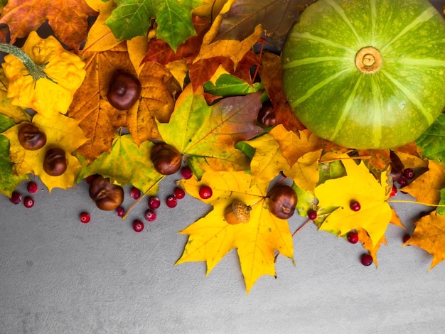 Thanksgiving achtergrond Pompoenen kastanjes eikels gevallen bladeren op grijze betonnen achtergrond Kopieer ruimte voor tekst Halloween Thanksgiving day of seizoensgebonden herfst Design mock up