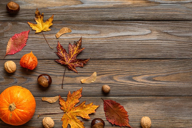 Thanksgiving autumn composition made of autumn leaves flowers pumpkin on wooden background Flat lay top view