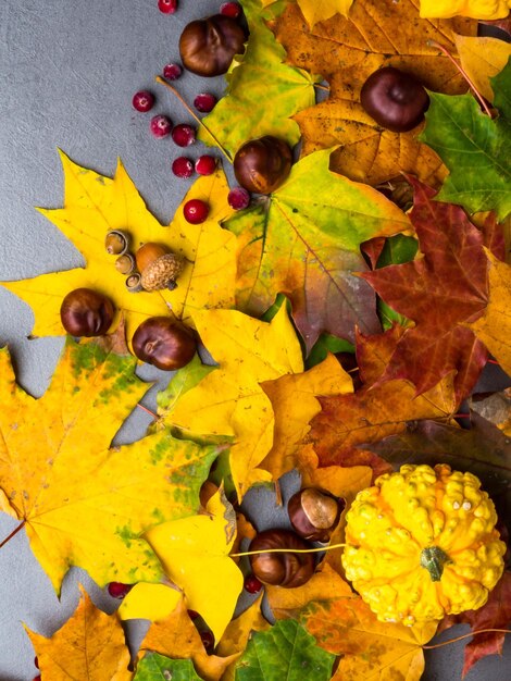 Thanksgiving background Pumpkins chestnuts acorns fallen leaves on grey concrete background