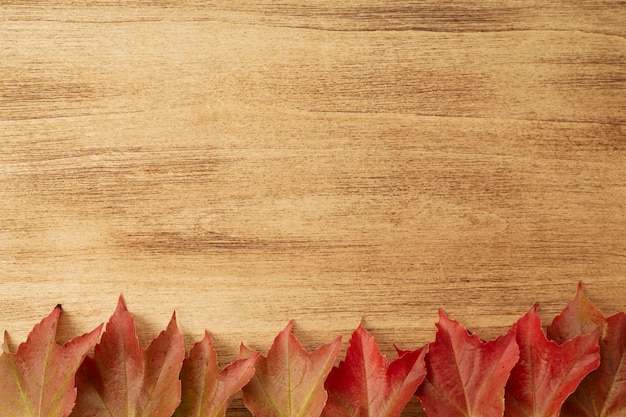 Thanksgiving background with leaves on wooden