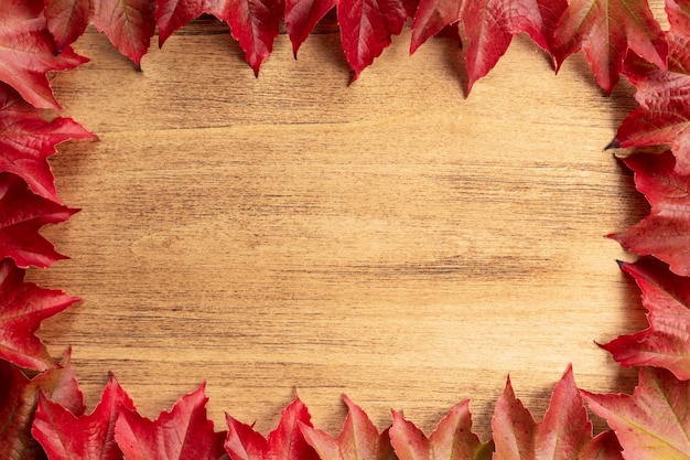 Photo thanksgiving background with leaves on wooden