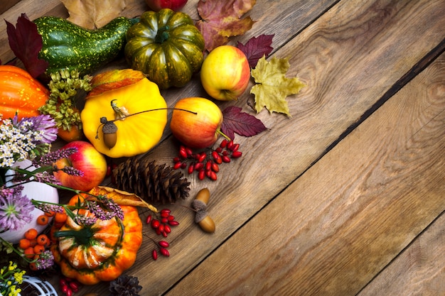 Thanksgiving background with red berries, pumpkin and squash, copy space