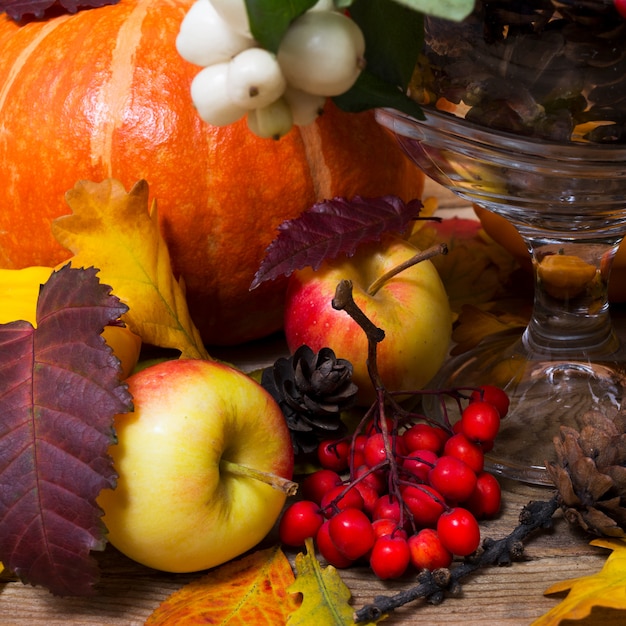 Thanksgiving background with snowberry and pumpkin,