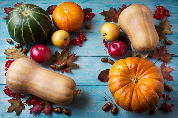 Thanksgiving  concept with pumpkins and leaves on blue wooden background